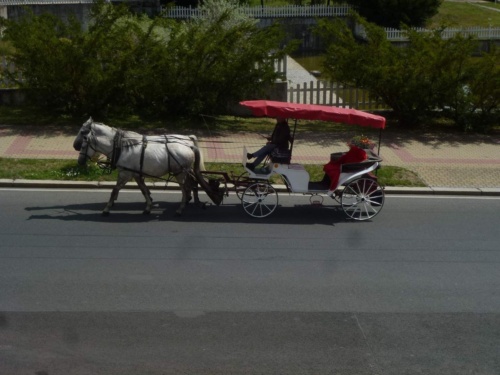 Jaguar Tour West Bohemia 2015_103