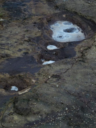 Jaguar Tour West Bohemia 2015_47