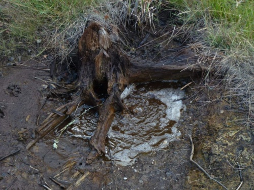 Jaguar Tour West Bohemia 2015_48