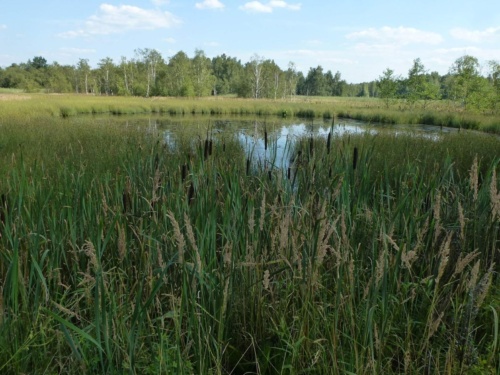 Jaguar Tour West Bohemia 2015_49