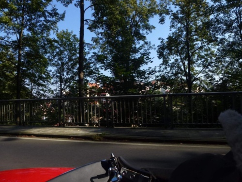 Jaguar Tour West Bohemia 2015_76