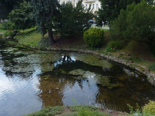 Jaguar Tour West Bohemia 2015_97