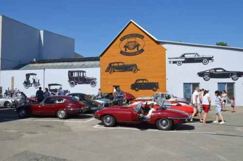 Jaguar-Trebon-2021_07