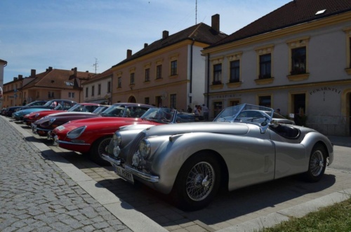 Jaguar-Trebon-2021_100