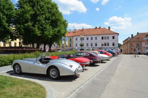 Jaguar-Trebon-2021_101
