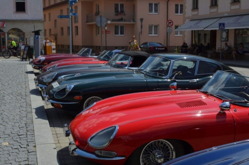 Jaguar-Trebon-2021_103