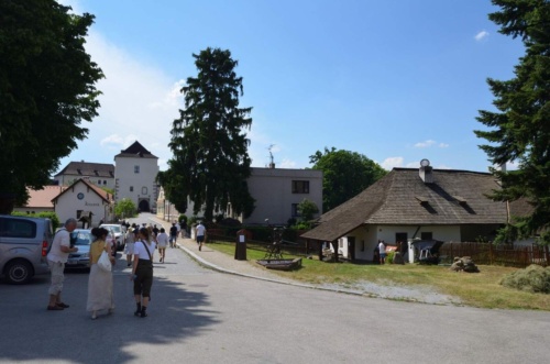 Jaguar-Trebon-2021_105
