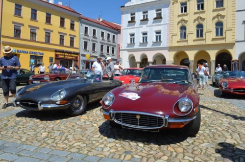 Jaguar-Trebon-2021_24