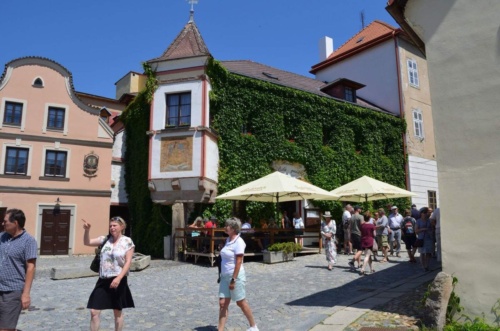 Jaguar-Trebon-2021_28