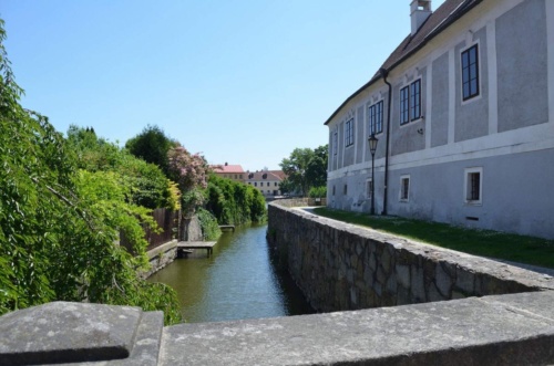 Jaguar-Trebon-2021_29