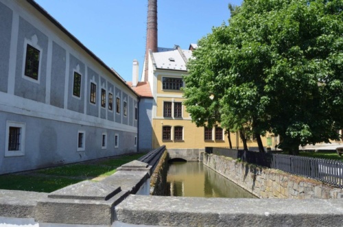 Jaguar-Trebon-2021_30