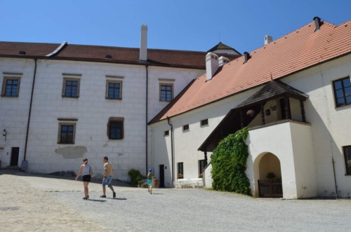 Jaguar-Trebon-2021_31