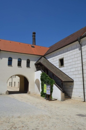 Jaguar-Trebon-2021_33