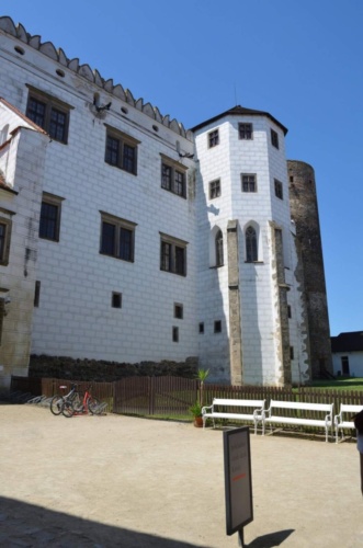 Jaguar-Trebon-2021_34