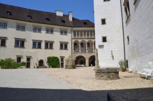 Jaguar-Trebon-2021_36