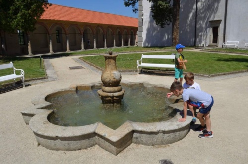 Jaguar-Trebon-2021_41