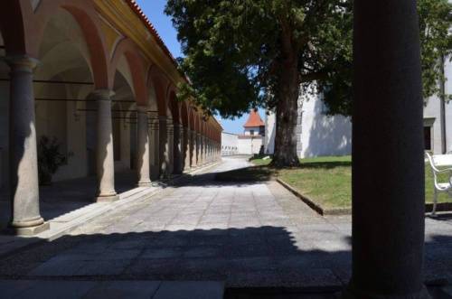 Jaguar-Trebon-2021_42