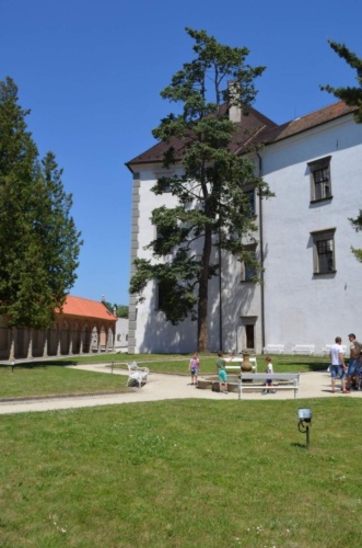 Jaguar-Trebon-2021_44