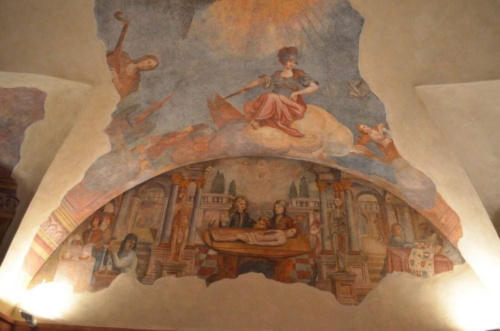 Jaguar-Trebon-2021_53