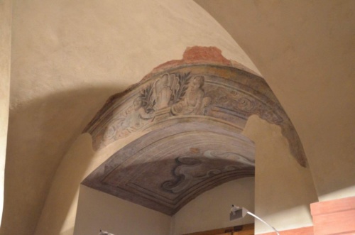 Jaguar-Trebon-2021_54