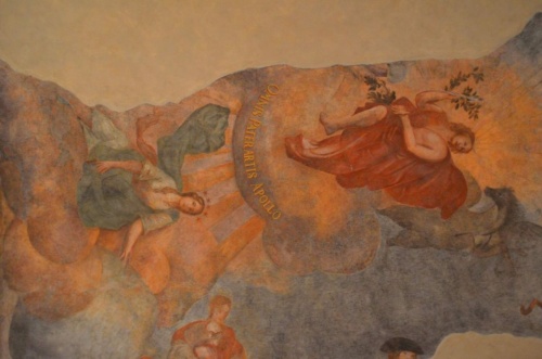 Jaguar-Trebon-2021_55