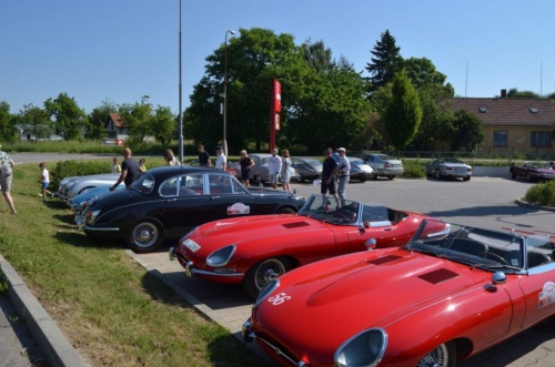 Jaguar-Trebon-2021_65