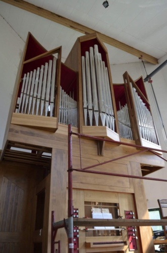 Jaguar-Trebon-2021_66