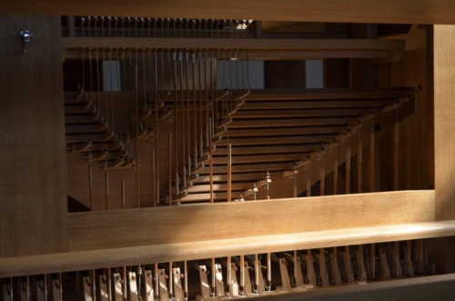 Jaguar-Trebon-2021_68