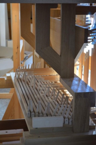 Jaguar-Trebon-2021_69