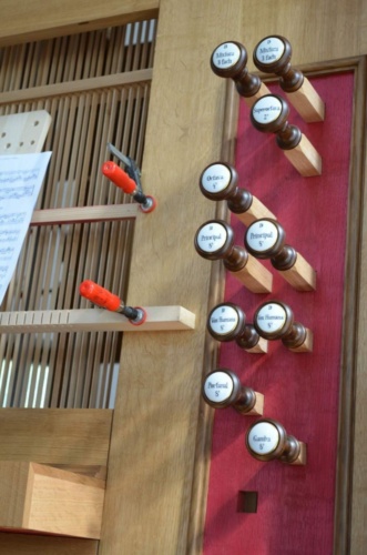 Jaguar-Trebon-2021_72