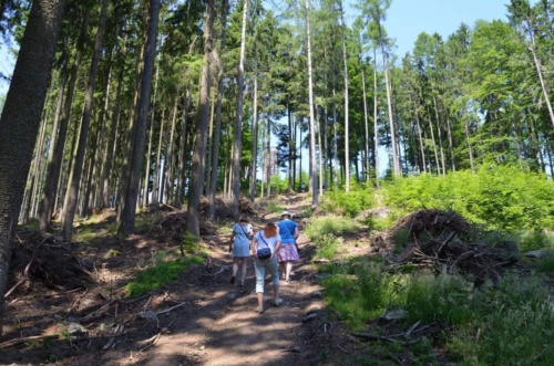 Jaguar-Trebon-2021_76