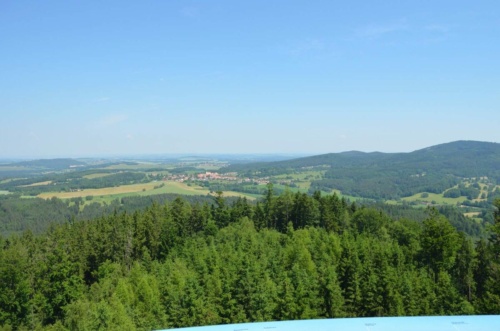 Jaguar-Trebon-2021_84