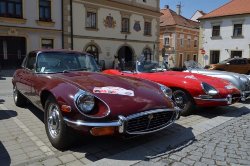 Jaguar-Trebon-2021_93