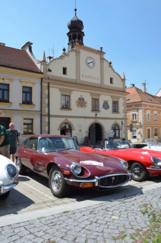 Jaguar-Trebon-2021_95