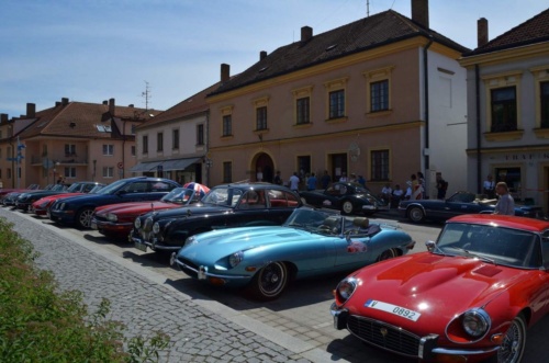 Jaguar-Trebon-2021_96