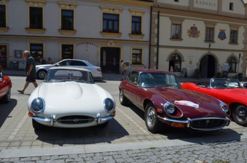 Jaguar-Trebon-2021_97