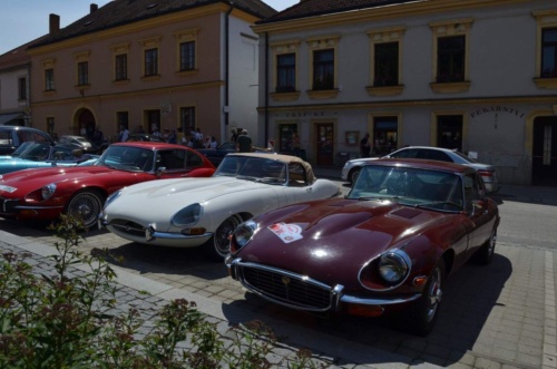 Jaguar-Trebon-2021_98