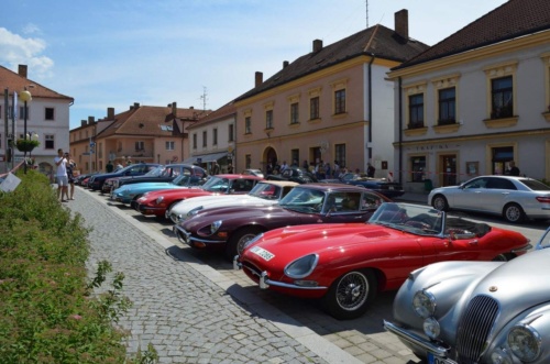 Jaguar-Trebon-2021_99