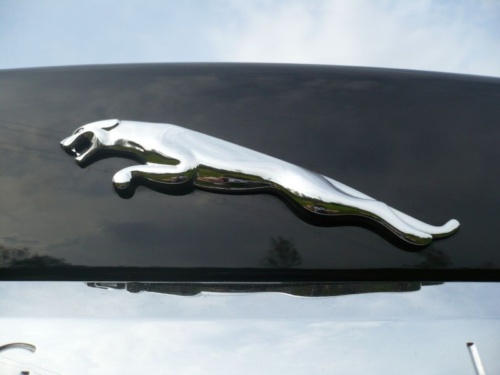 Jaguar XF_23