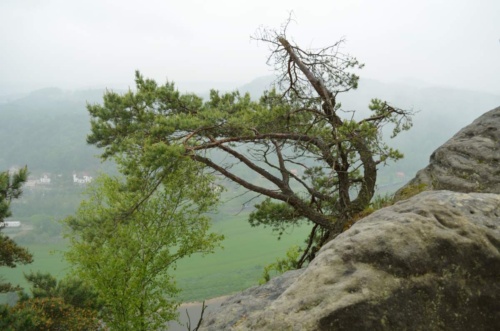 Jaguar meeting Ceske Svycarsko 2014 II_120