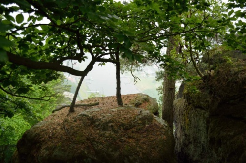 Jaguar meeting Ceske Svycarsko 2014 II_121