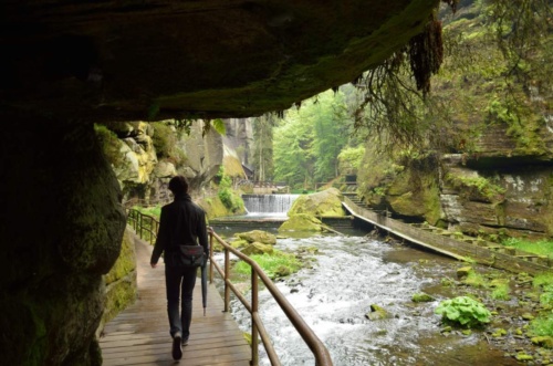 Jaguar meeting Ceske Svycarsko 2014 II_127