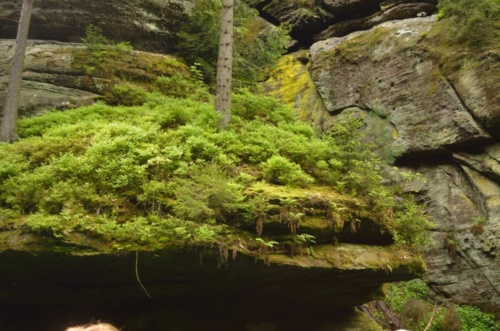 Jaguar meeting Ceske Svycarsko 2014 II_136