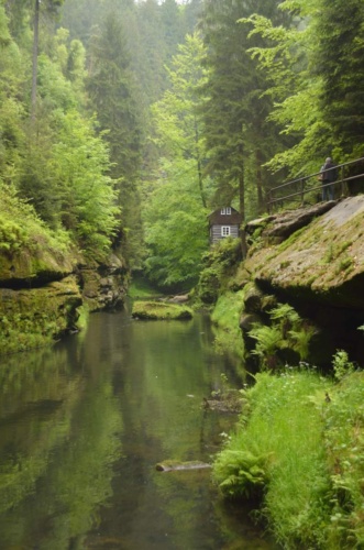 Jaguar meeting Ceske Svycarsko 2014 II_144