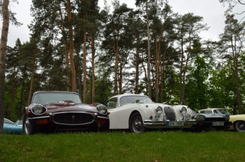 Jaguar meeting Ceske Svycarsko 2014 II_147