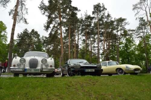 Jaguar meeting Ceske Svycarsko 2014 II_149