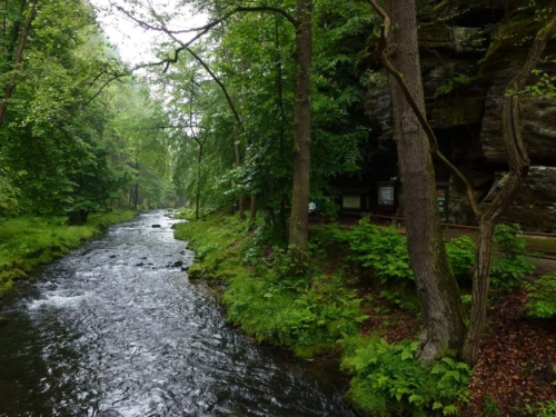 Jaguar meeting Ceske Svycarsko 2014_100