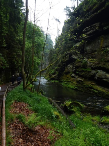 Jaguar meeting Ceske Svycarsko 2014_106