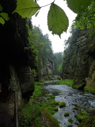 Jaguar meeting Ceske Svycarsko 2014_107