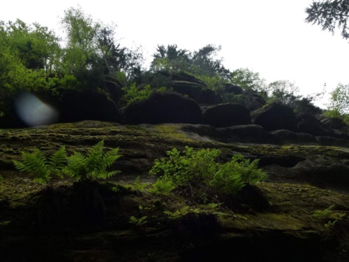 Jaguar meeting Ceske Svycarsko 2014_130